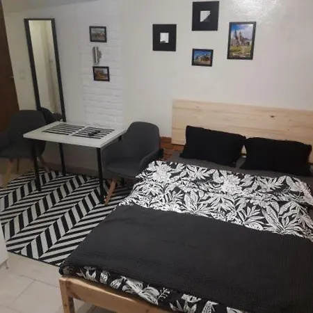 Cozy Studio Flat Near To Main Square * Krasków